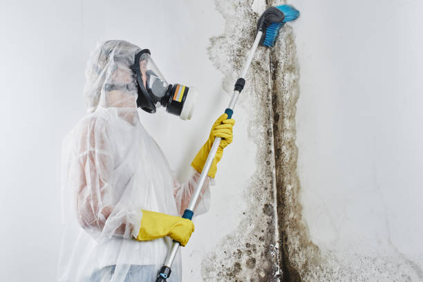 Water Damage Restoration in Lower Lake, CA