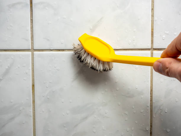 Best Mold Damage Repair  in Lower Lake, CA