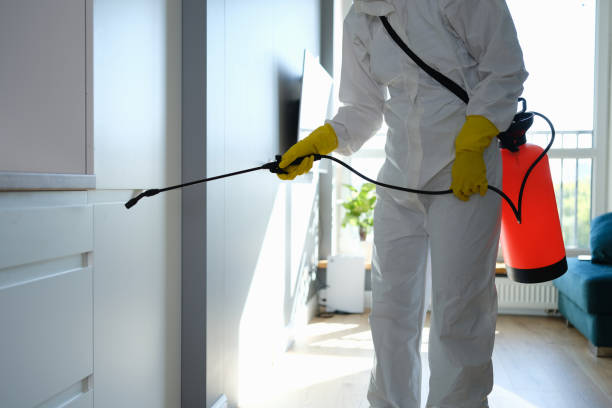 Best Toxic Mold Removal  in Lower Lake, CA
