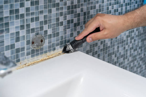 Mold Testing and Removal in Lower Lake, CA