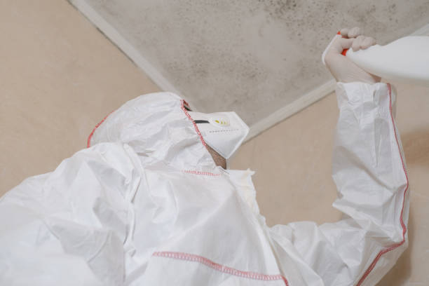 Water Damage Restoration in Lower Lake, CA