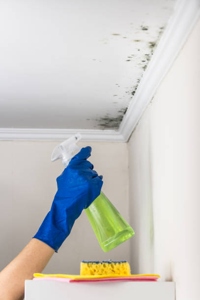 Best Water Damage Restoration  in Lower Lake, CA
